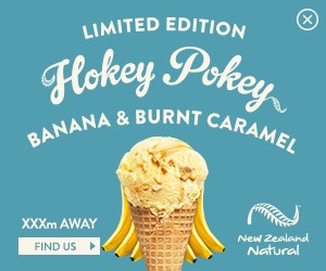 NZN0012-HokeyPokey-MREC-300x250_banana
